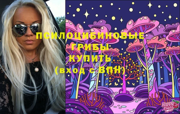 стаф Богданович