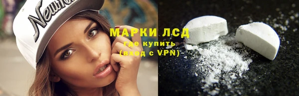 ПСИЛОЦИБИНОВЫЕ ГРИБЫ Богородск