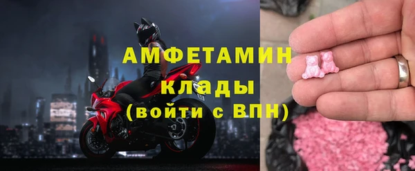 стаф Богданович