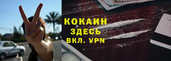 стаф Богданович