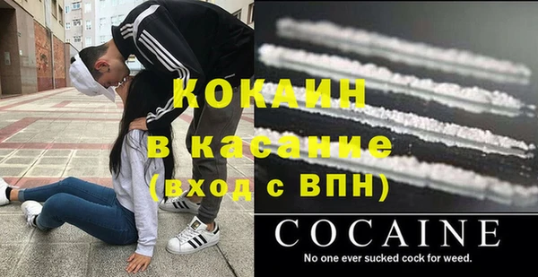 индика Арсеньев