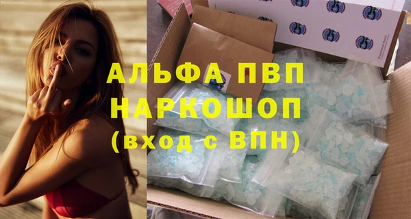 стаф Богданович