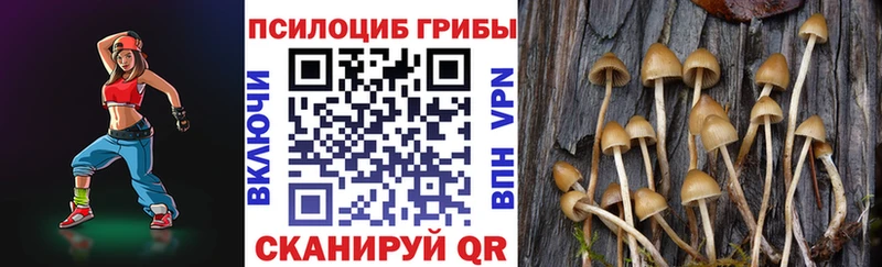 Псилоцибиновые грибы ЛСД  сколько стоит  Давлеканово 